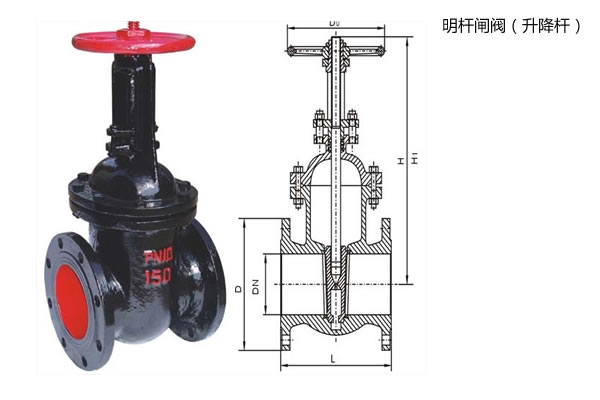 明桿閘閥結(jié)構(gòu)圖